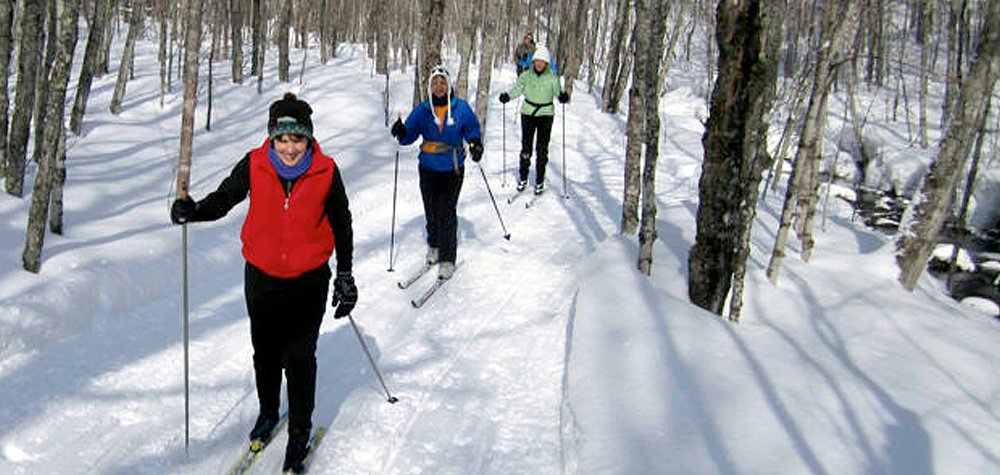 Photo of Cross-Country Skiers