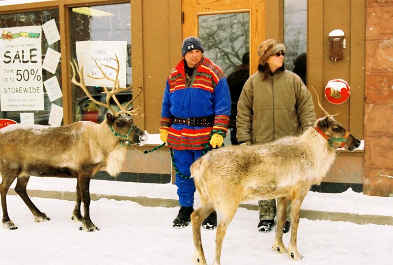 These reindeer and their handlers, waited patiently in the near zero temperatures for the Saturday morning parade to start. 